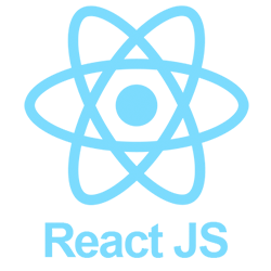 Reactjs Developer